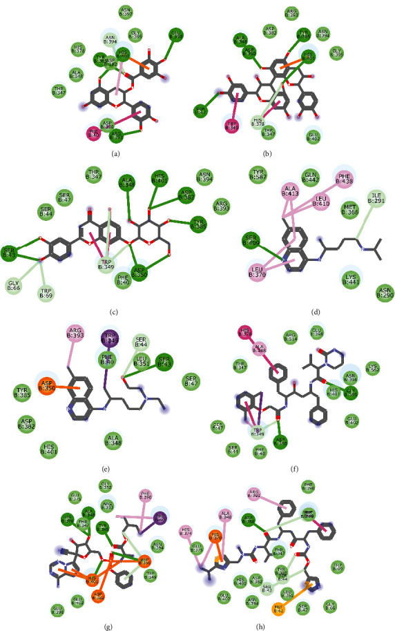 Figure 13