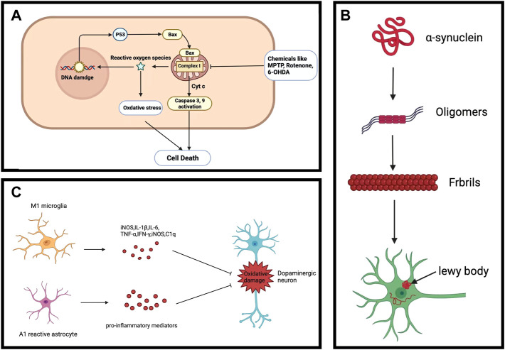 FIGURE 3