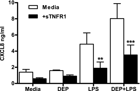 Fig. 8.