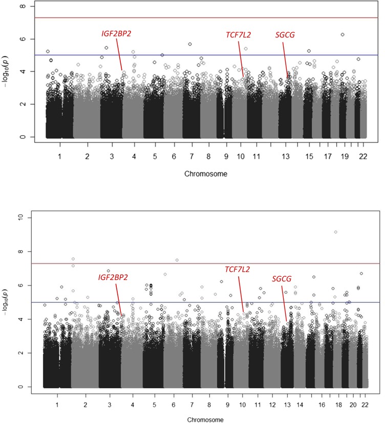 FIG. 2.