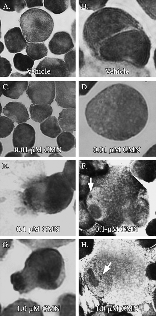 Fig. 7