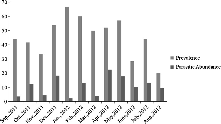 Fig. 1