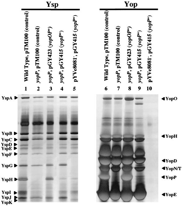 FIG. 4.