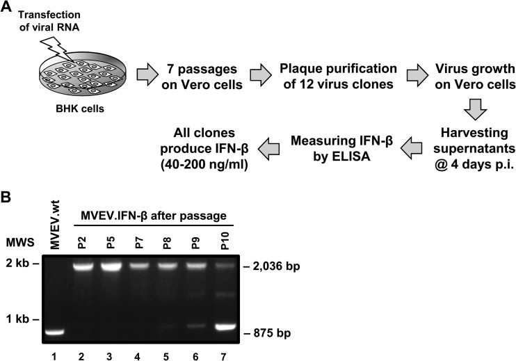 FIG 4