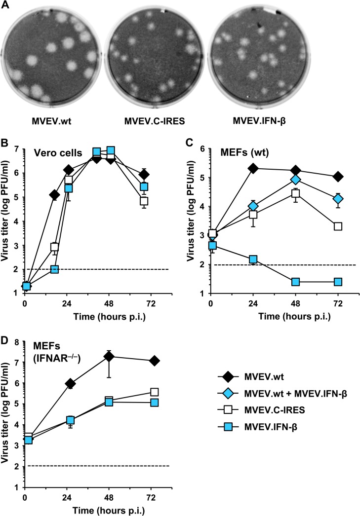 FIG 3