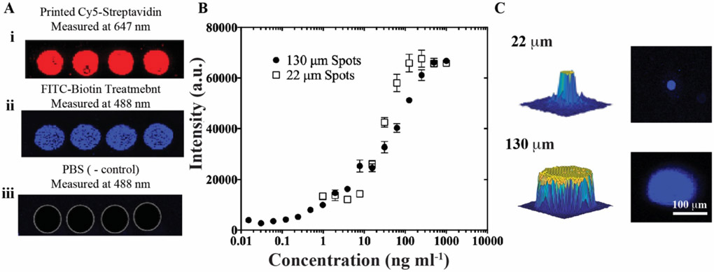 Figure 3: