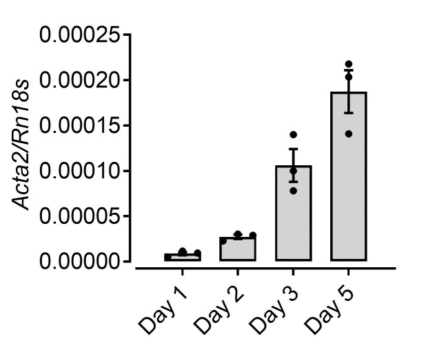 Figure 5.