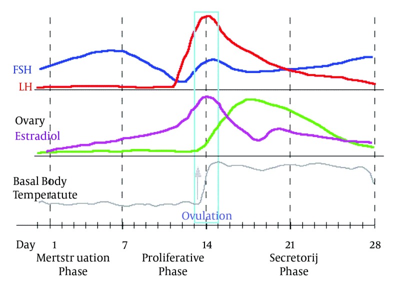 post-intubation-sore-throat-and-menstruation-cycles-pmc