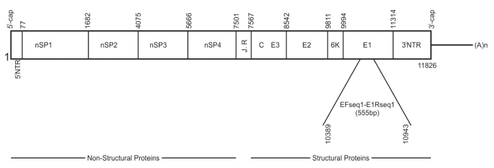 [Table/Fig-1]: