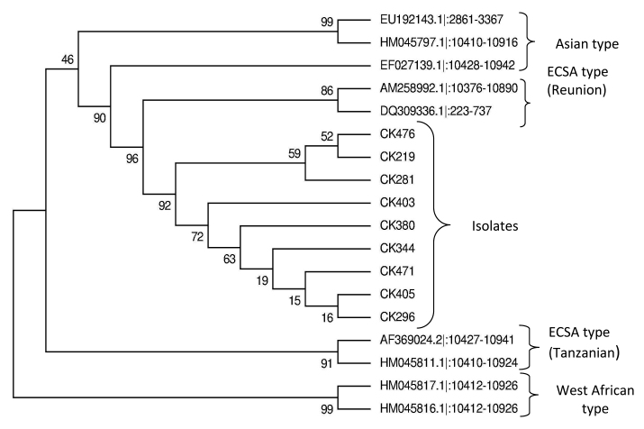 [Table/Fig-4]: