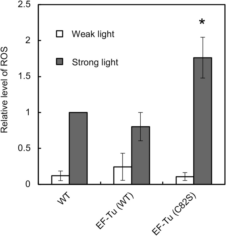 Figure 6.