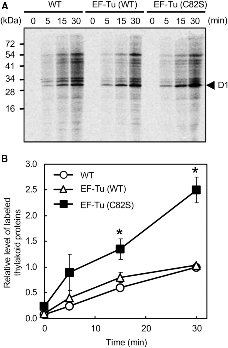 Figure 3.