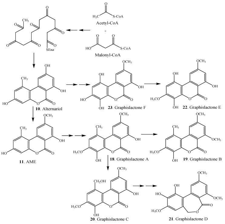 Scheme 2