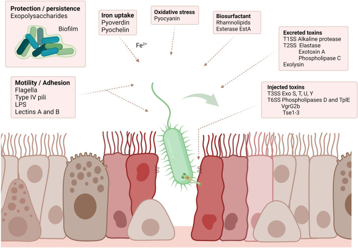 Fig 4