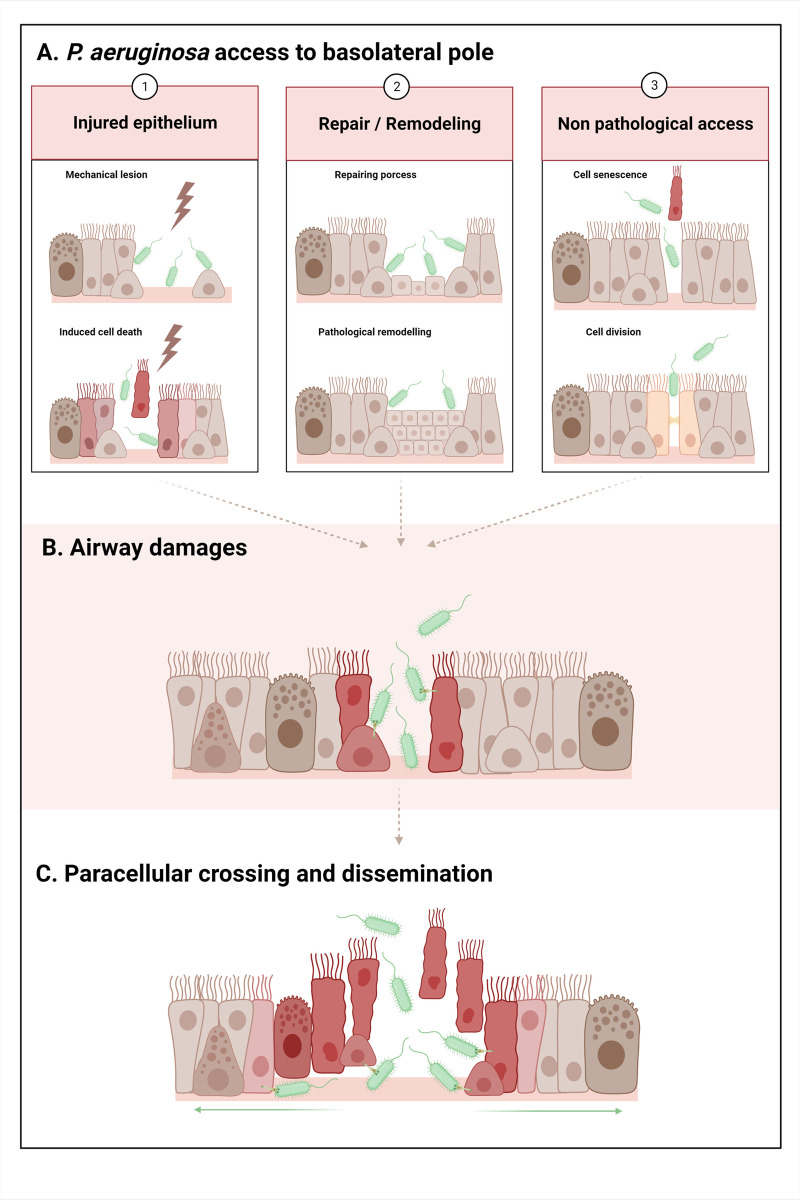 Fig 2