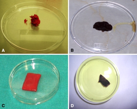 Fig. 1A–D