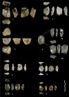 Fig. 7