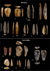 Fig. 12