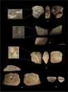 Fig. 4