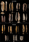 Fig. 8