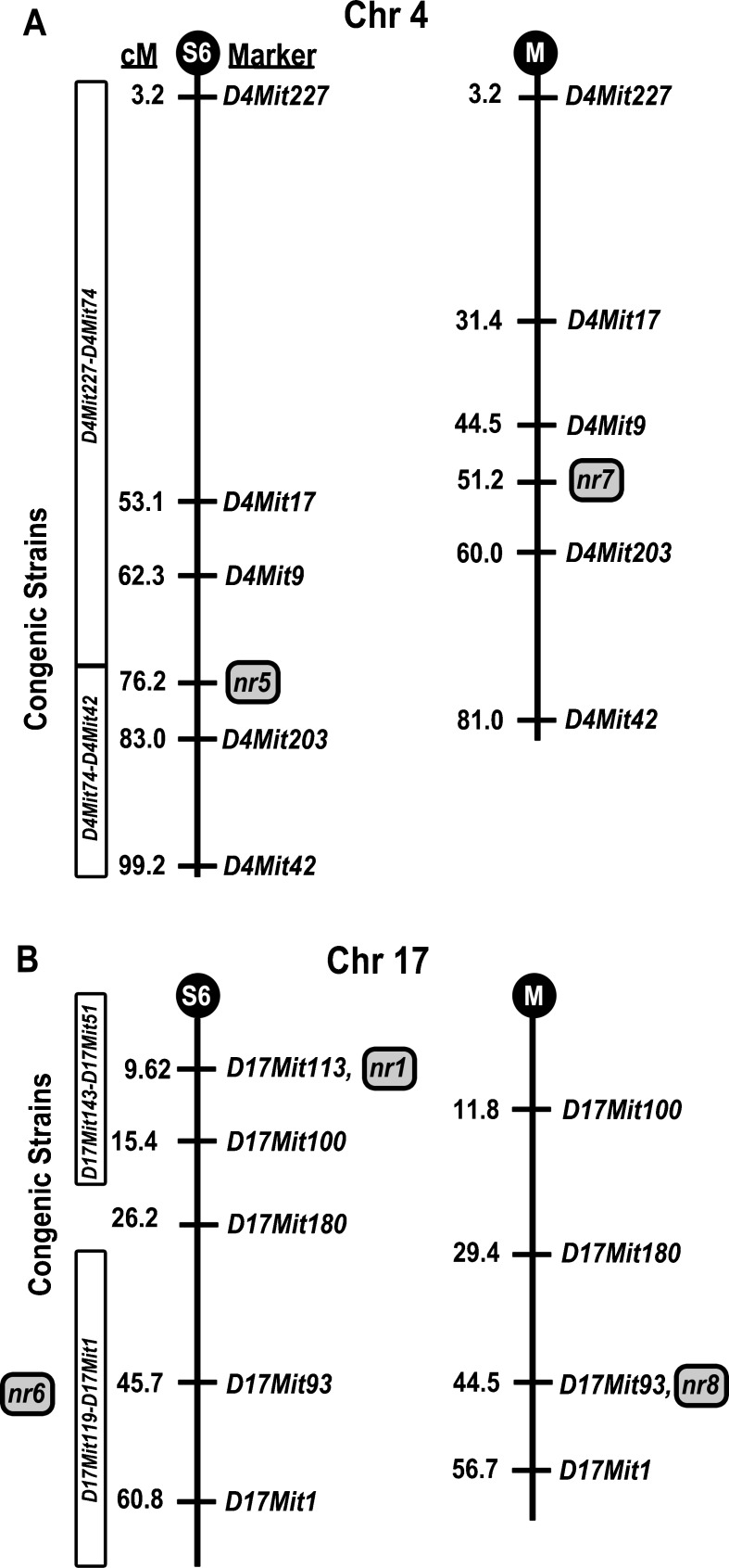 FIG. 6