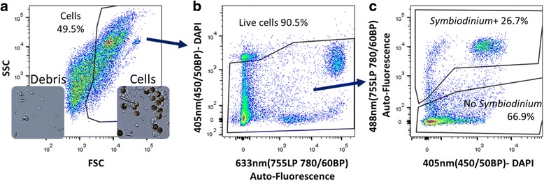 Fig. 1