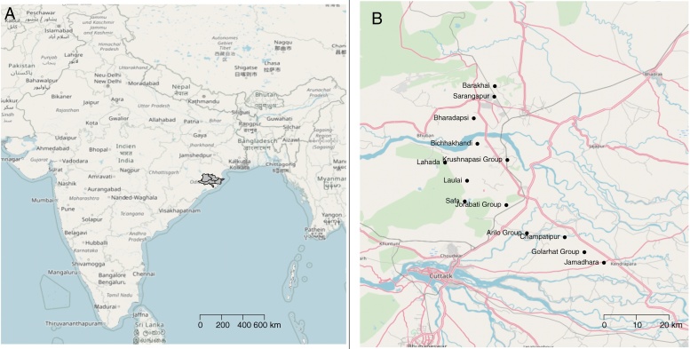 Fig. 1