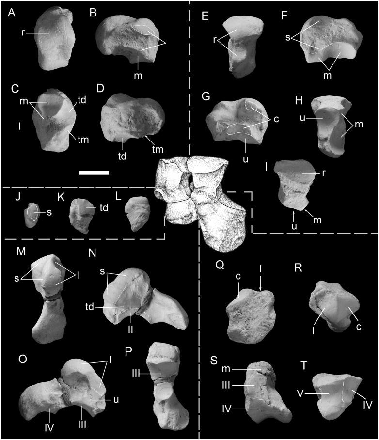 Fig 3