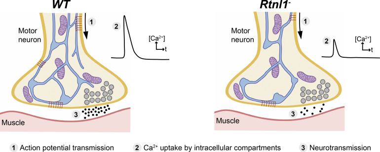 Figure 10.