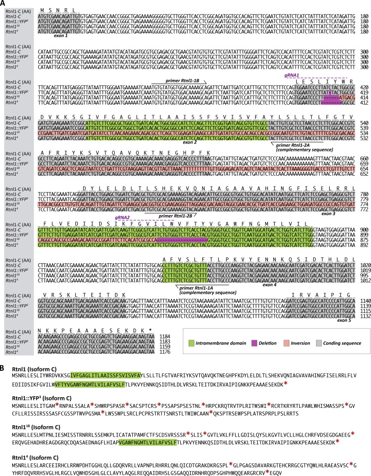 Figure S1.