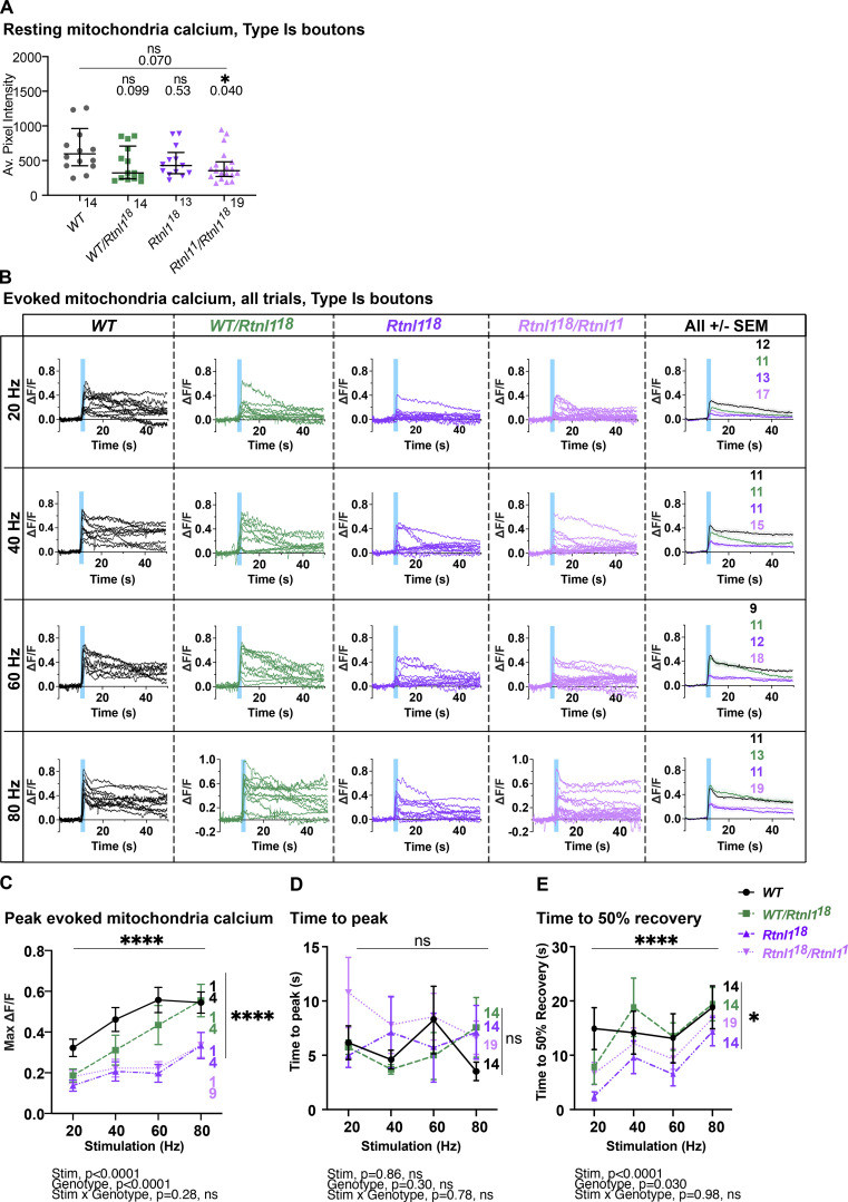 Figure S12.