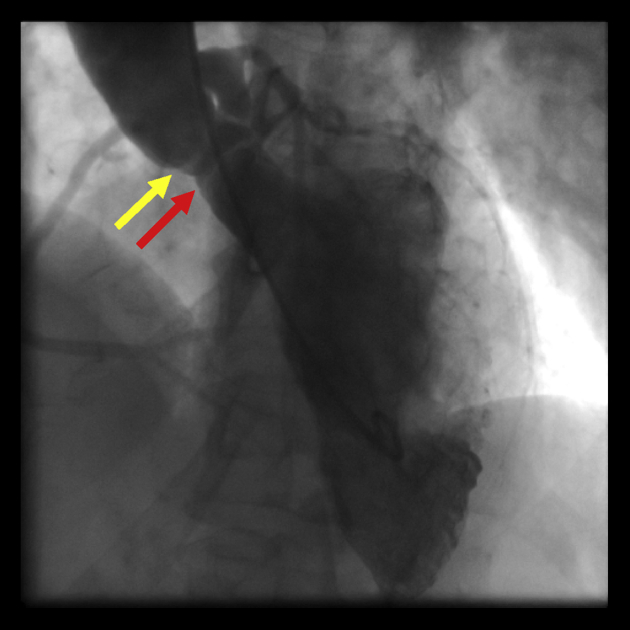 Figure 5