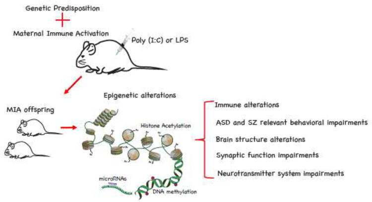 Figure 1: