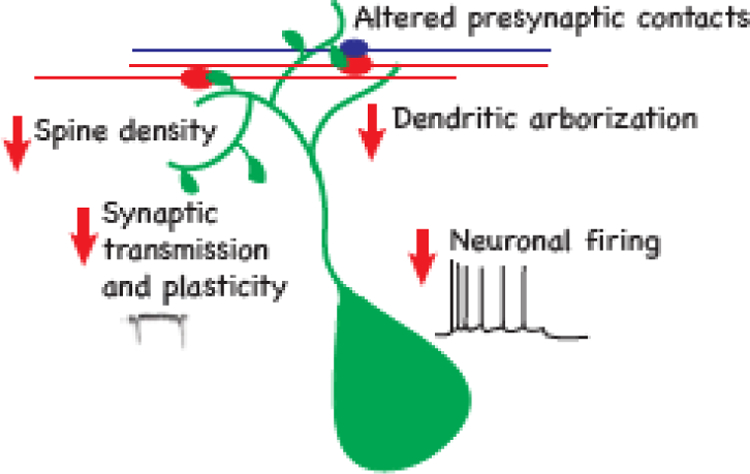 Figure 3: