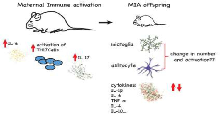 Figure 4: