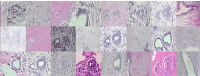 Fig. 10