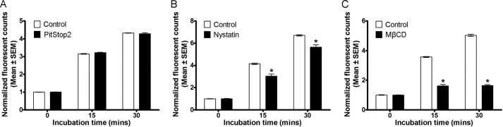 FIGURE 4.