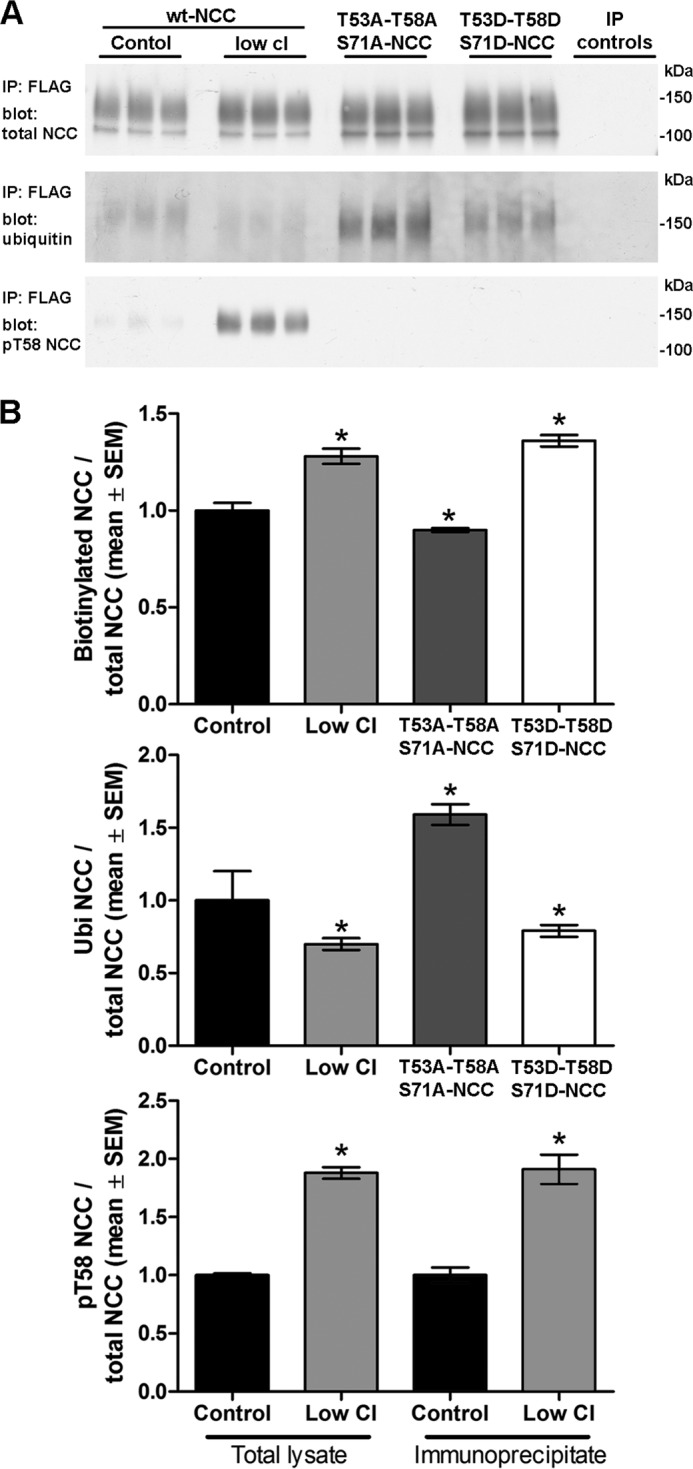 FIGURE 13.