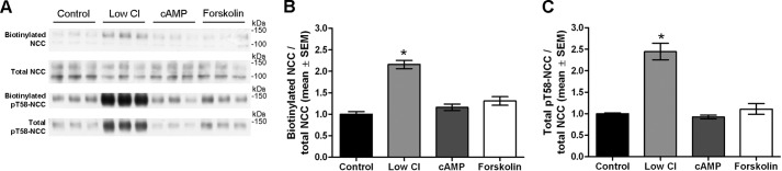 FIGURE 11.