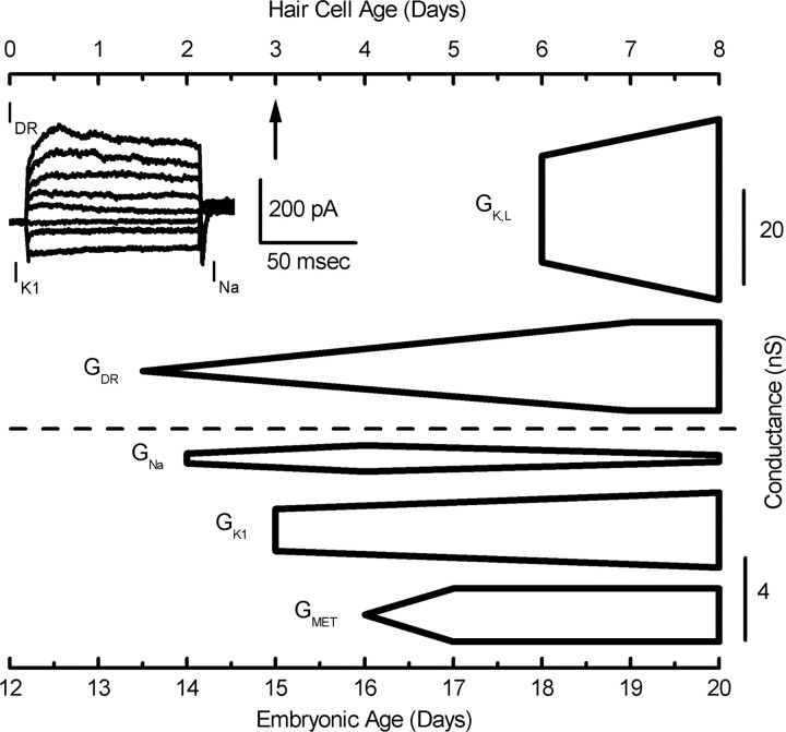 
Figure 9.
