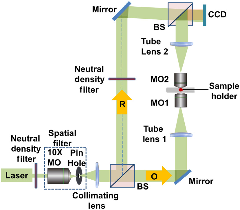 Fig. 1