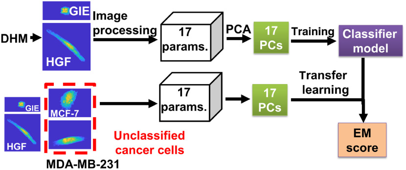 Fig. 2