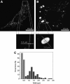 FIG. 14.