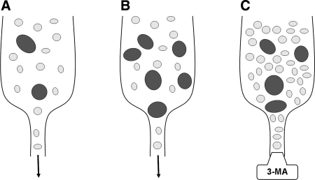 FIG. 13.