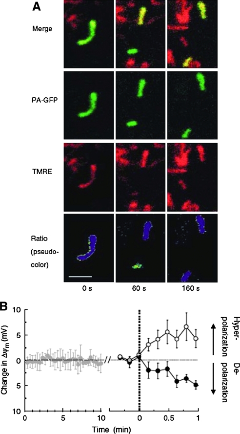 FIG. 4.