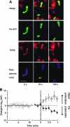 FIG. 4.