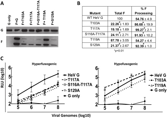 Fig 4