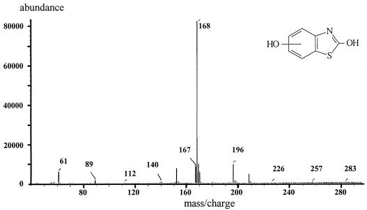 FIG. 6