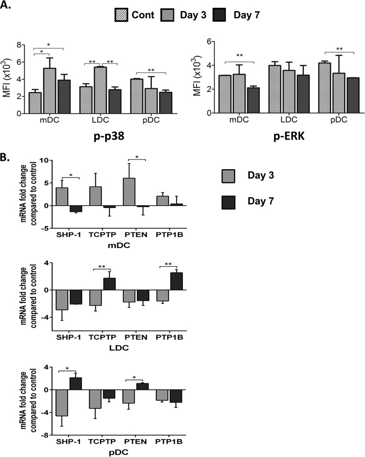 FIG 6