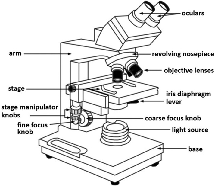 Fig. 1.